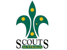 Mansfield Scouts